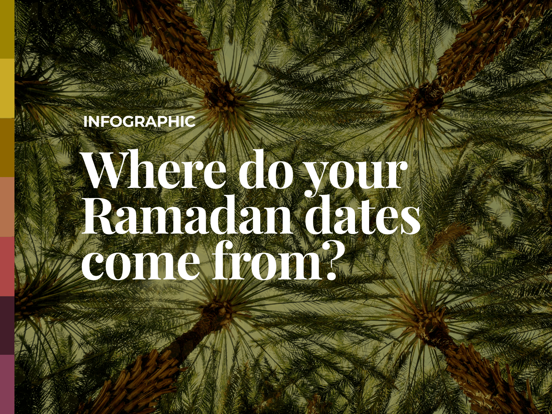 Ramadan 2025: Which countries grow the most dates? | Religion News